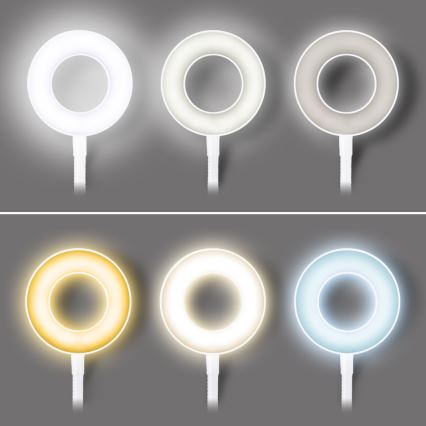 Lâmpada de mesa LED dimerizável com clipe LED/8W/230V 3000/4000/5000K branca