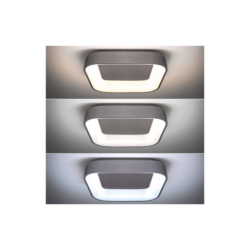 Luminária de teto LED dimmerizável TREVISO LED/48W/230V + controlo remoto