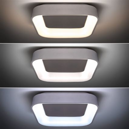 Luz de teto fosca LED LED/48W/230V + controlo remoto