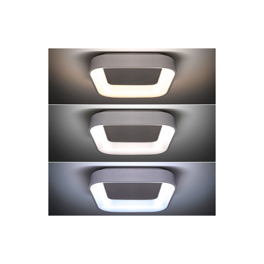 Luz de teto fosca LED LED/48W/230V + controlo remoto