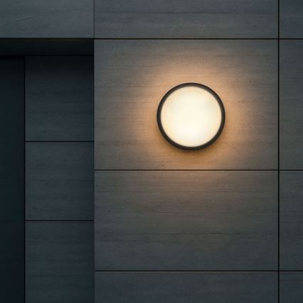 Aplique de parede LED para exterior 2 em 1, 20W, 230V, 3000/4000/6500K, IP65, Ø 22 cm