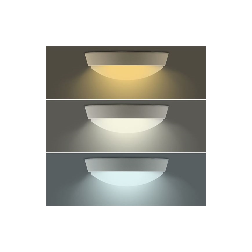 Aplique de parede LED para exterior 2 em 1, 20W, 230V, 3000/4000/6500K, IP65, Ø 22 cm