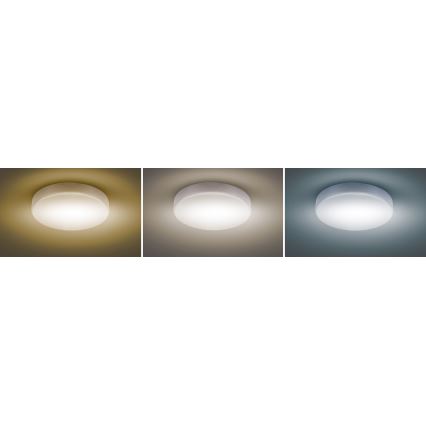 Iluminação de teto LED com regulação LED/50W/230V 3000-6000K + comando