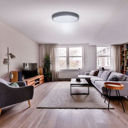 Luminária de Teto LED Regulável GREY LED/60W/230V 3000-6500K cinza diâmetro 49 cm + controlo remoto