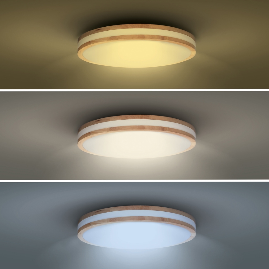 Luminária de teto LED dimmerizável WOODY LED/48W/230V 3000-6500K carvalho Ø 38 cm + controlo remoto
