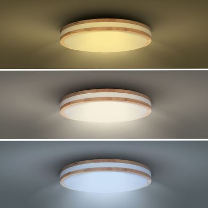 Luminária de teto LED dimmerizável WOODY LED/60W/230V 3000-6500K carvalho diâmetro 50 cm + controlo remoto