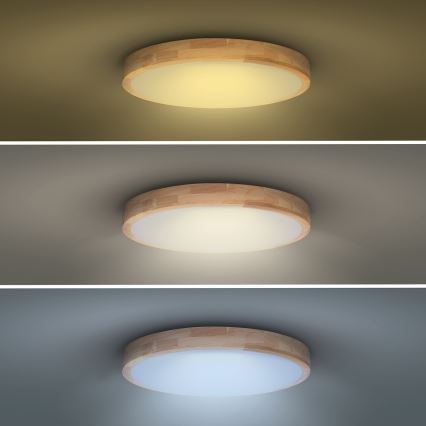 Luminária de teto LED dimmerizável SOLID OAK LED/48W/230V 3000-6500K carvalho diâmetro 39 cm + comando à distância