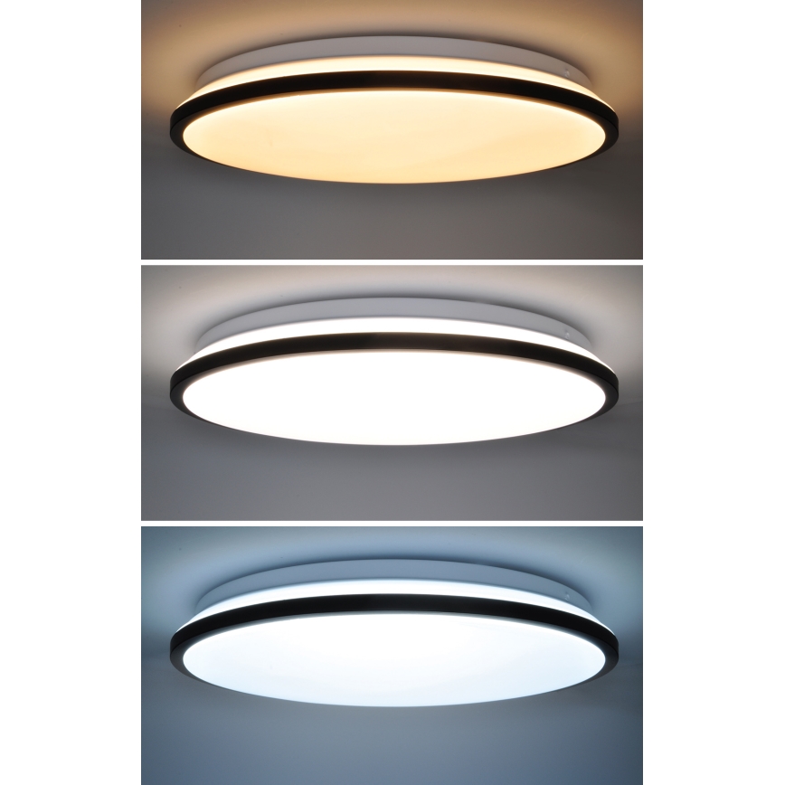 Iluminação de teto LED com regulação JAMIL LED/48W/230V 3000-6500K preto + comando