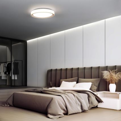 Iluminação de teto LED RGB com regulação FLOCO LED/30W/230V 3000-6500K + RGB/6W diâmetro 40cm + comando