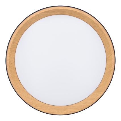 Iluminação de teto LED com regulação LARIOS LED/48W/230V 3000-6500K diâmetro 39 cm preto + comando