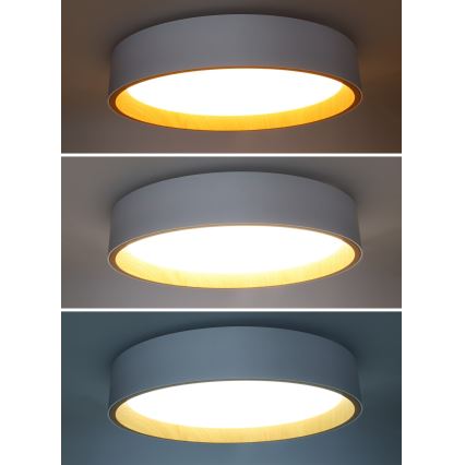 Luminária de teto LED dimmerizável LARIOS LED/48W/230V 3000-6500K diâmetro 39 cm branca + controlo remoto