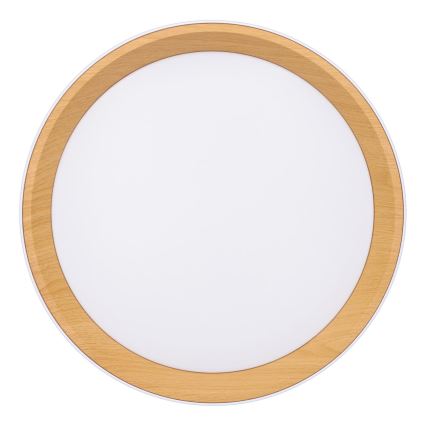 Luminária de teto LED dimmerizável LARIOS LED/48W/230V 3000-6500K diâmetro 39 cm branca + controlo remoto