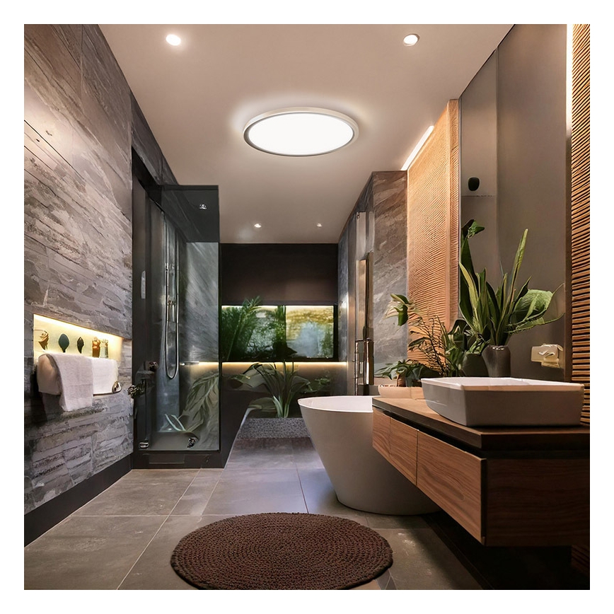 Candeeiro de teto LED para casa de banho ACATE 18W/230V 3000/4000/6000K diâmetro 22 cm IP54