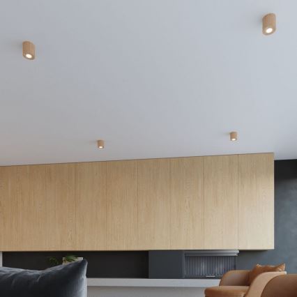 Foco ORBIS 1xGU10/10W/230V faia