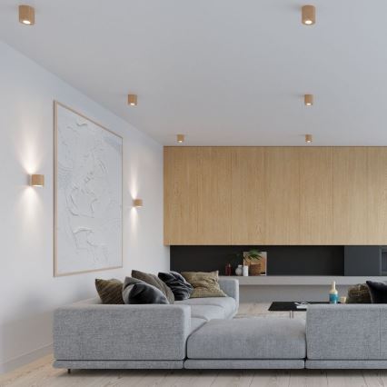 Foco ORBIS 1xGU10/10W/230V faia