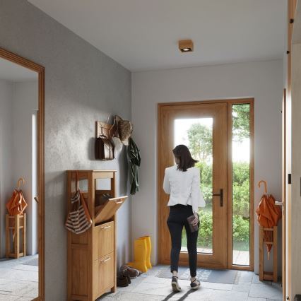 Iluminação de teto QUATRO AR111 1xGU10/40W/230V faia