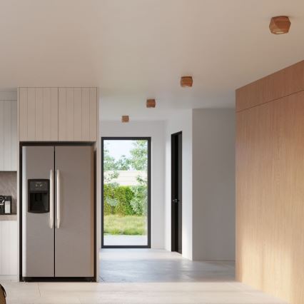 Iluminação de teto WOODY 1xGU10/40W/230V carvalho