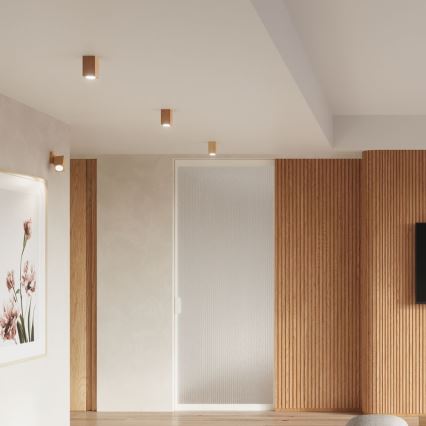 Foco KEKE 1xGU10/40W/230V 10 cm carvalho