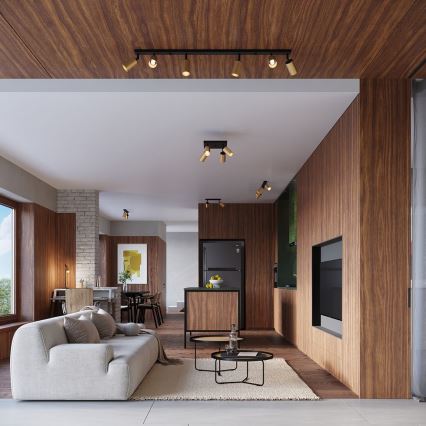 Foco de parede WINX 1xGU10/10W/230V preto/dourado