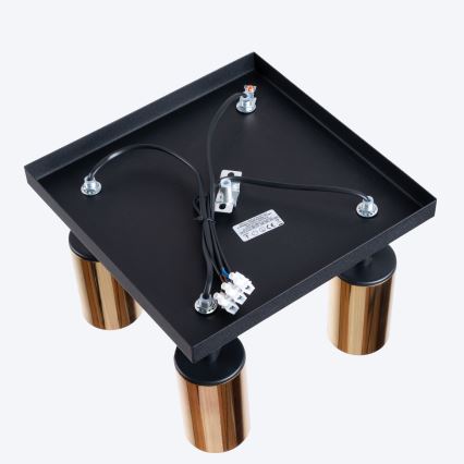 Foco WINX 4xGU10/10W/230V preto/dourado