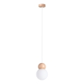 Sollux SL.1390 - Lustre suspenso por cabo PEKKA 1xG9/8W/230V branco