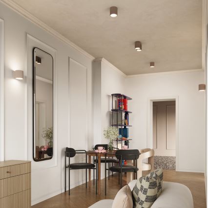 Spot direcionável AURA 2xGU10/10W/230V taupe