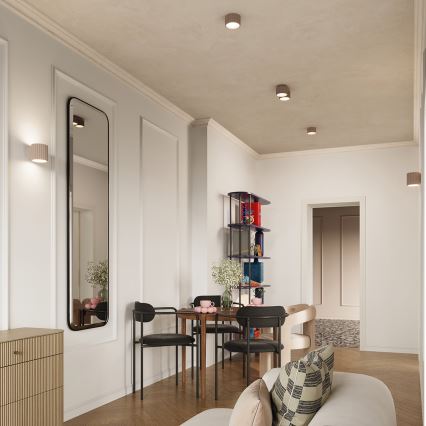 Spot direcionável AURA 2xGX53/10W/230V taupe