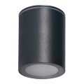 Spot de exterior AQILO 1xGU10/7W/230V IP65 antracite