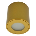 Spot exterior FARA 1xGU10/30W/230V IP54, dourado