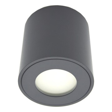 Spot exterior FARA 1xGU10/30W/230V IP54 preto