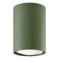 Spot LAGOS 1xGU10/10W/230V 10 cm verde