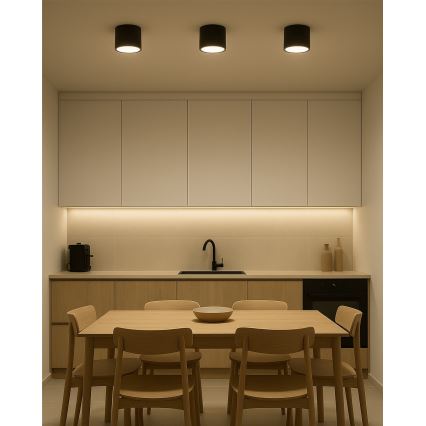 Spot LED 10W/230V 3000/4000/6400K Ø 12 cm preto