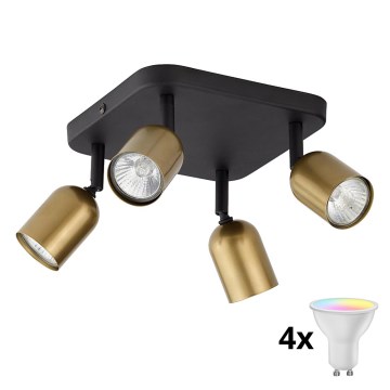 Spot LED RGBW dimerizável TOP 4xGU10/6,5W/230V 2700-6500K dourado/preto