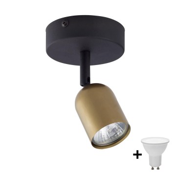 Spot LED TOP 1xGU10/10W/230V dourado/preto