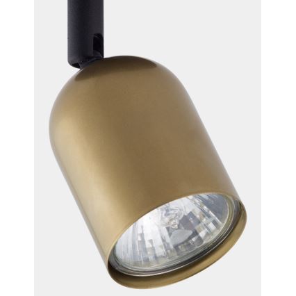 Spot LED TOP 1xGU10/10W/230V dourado/preto