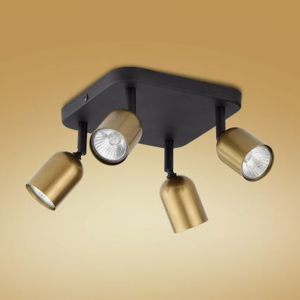 Spot LED TOP 4xGU10/10W/230V dourado/preto