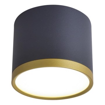 Spot LED TUBA LED/9W/230V preto/dourado