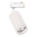Spot para sistema de trilho monofásico PIPE 1xGU10/10W/230V branco
