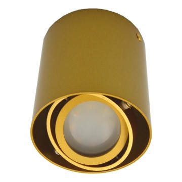 Spot SIROK 1xGU10/30W/230V dourado