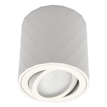 Spot ZOLA 1xGU10/30W/230V branco
