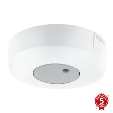 STEINEL 033644 - Interruptor de iluminação exterior com sensor de crepúsculo Dual KNX branco IP54