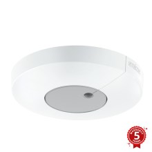 STEINEL 033651 - Interruptor de iluminação com sensor de crepúsculo Dual KNX branco