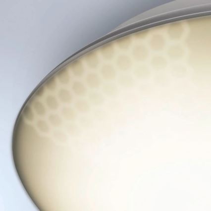 Steinel 035440 - Iluminação de exterior LED com sensor QUATTRO LED/10W/230V IP54