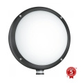STEINEL 053079 - LED Iluminação de parede exterior com sensor L330 LED/9W/230V 3000K IP44