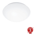 Steinel 056063 - Iluminação exterior LED com sensor RS PRO LED/9,5W/230V IP54