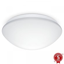 Steinel 056124 - Iluminação de casa de banho LED RS PRO LED P3 LED/19,5W/230V IP54 4000K