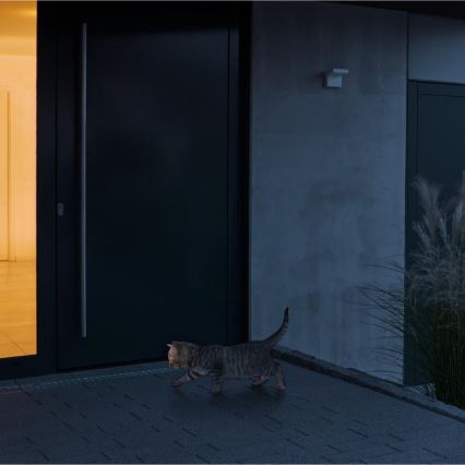 Steinel 059620 - Sensor de movimento iHF 3D KNX IP54 antracite