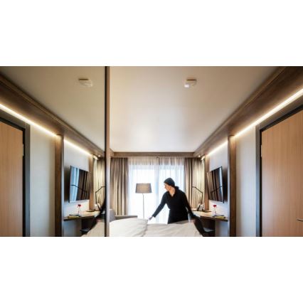 Steinel 066024 - Detetor de presença True Presence IP branco