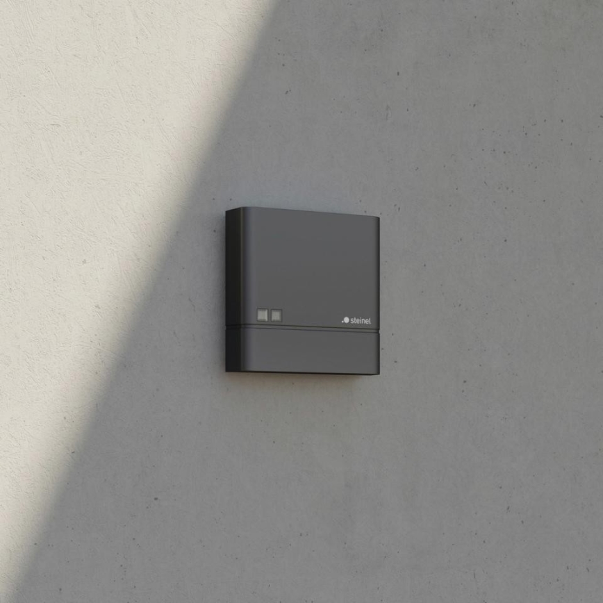 Steinel 066116 - Sensor de crepúsculo NIGHTMATIQ Plus IP54 antracite