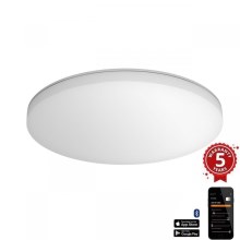 Steinel 067793 - Iluminação de teto LED com regulação com sensor RS PRO R30 plus SC 23,7W/230V 3000K IP40
